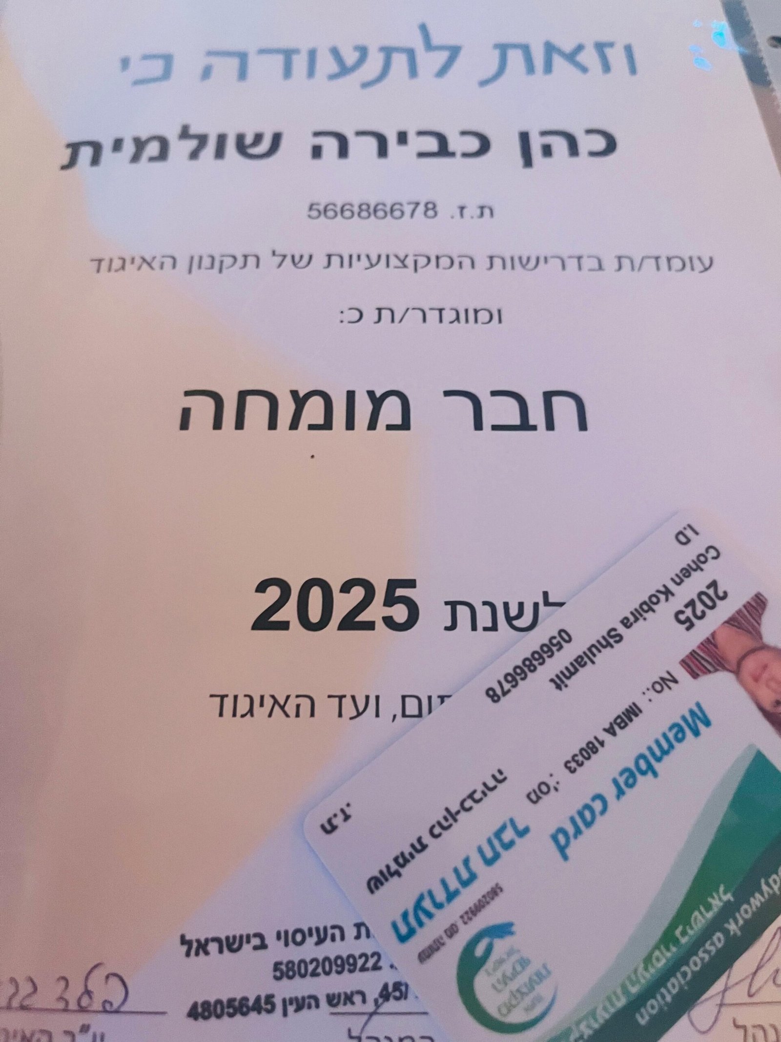 WhatsApp Image 2025-11-12 at 16.32.55